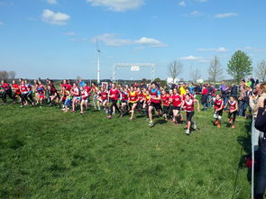 米兰体育在线-体育新闻中心参与制定青少年体育内容发布规范，青少年体育刊物