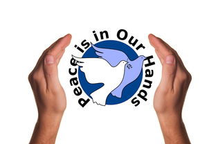 米兰体育下载-决赛教练战术对决吸引全球关注，比赛中教练挑战是什么意思  第2张